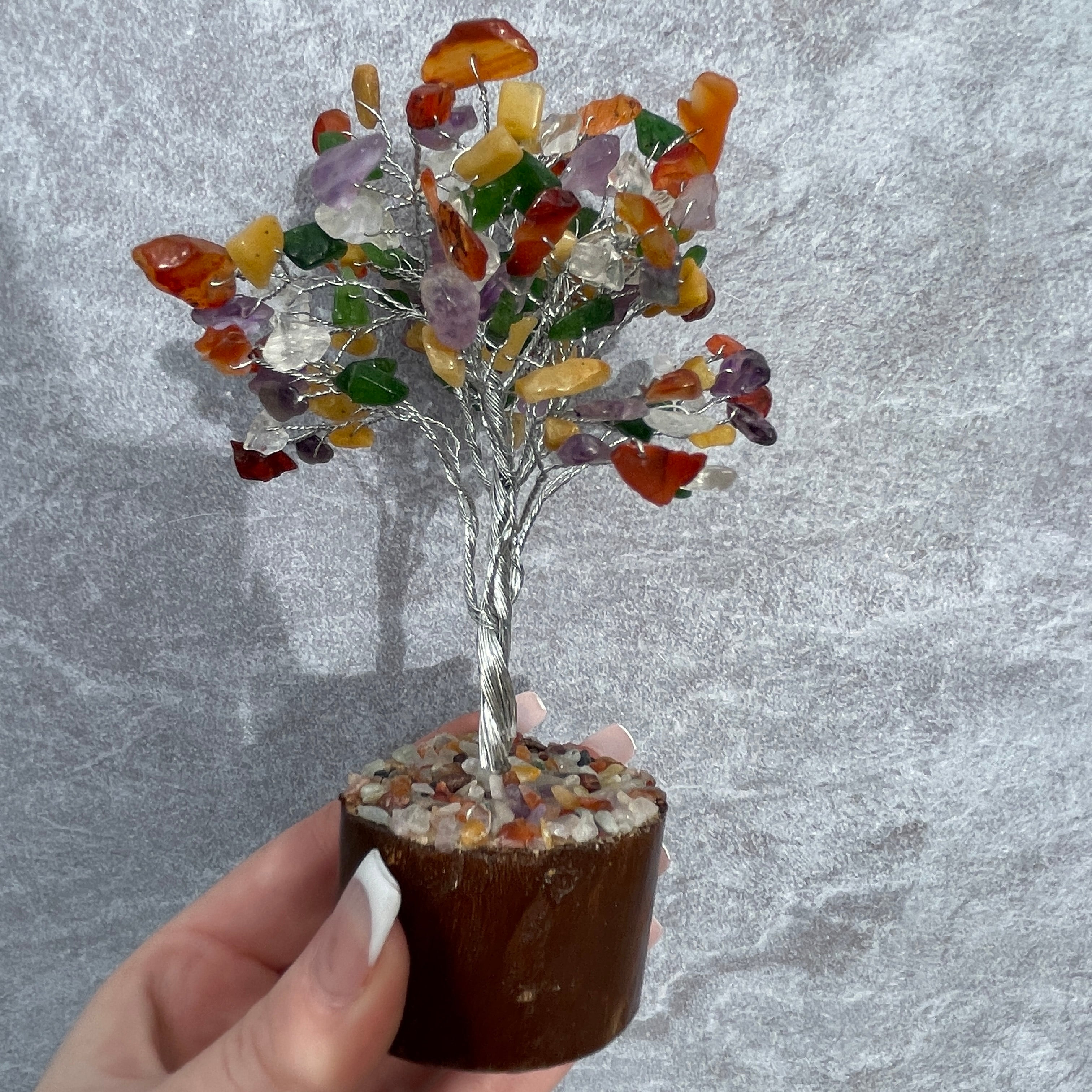 Mix (O/S) Tree - Medium 014 Mix (O/S) Tree - Medium 014